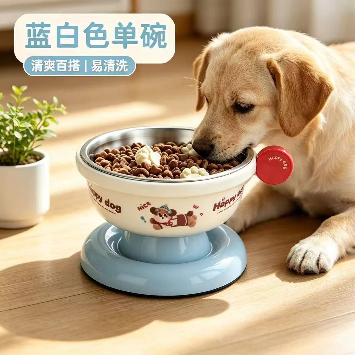 Raised Cat Bowl - Cake White Stainless Steel