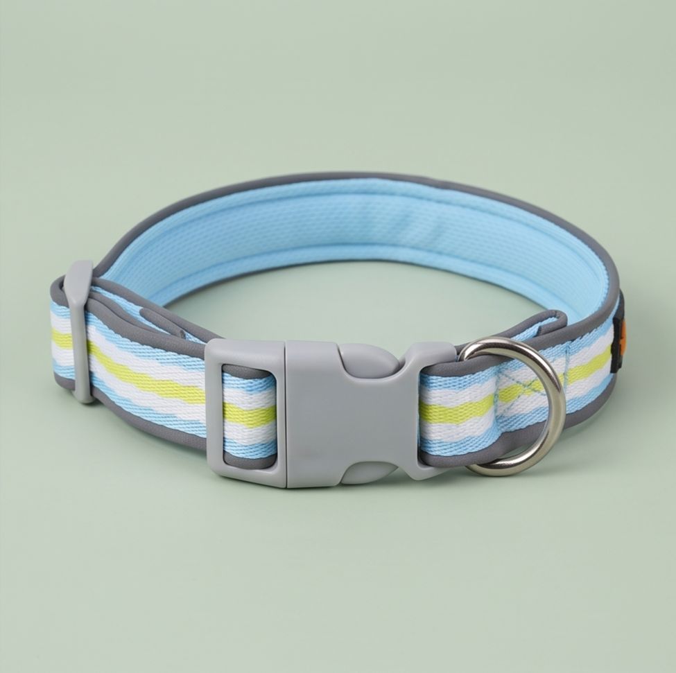 Colour Block Cotton Dog Collar and Lead