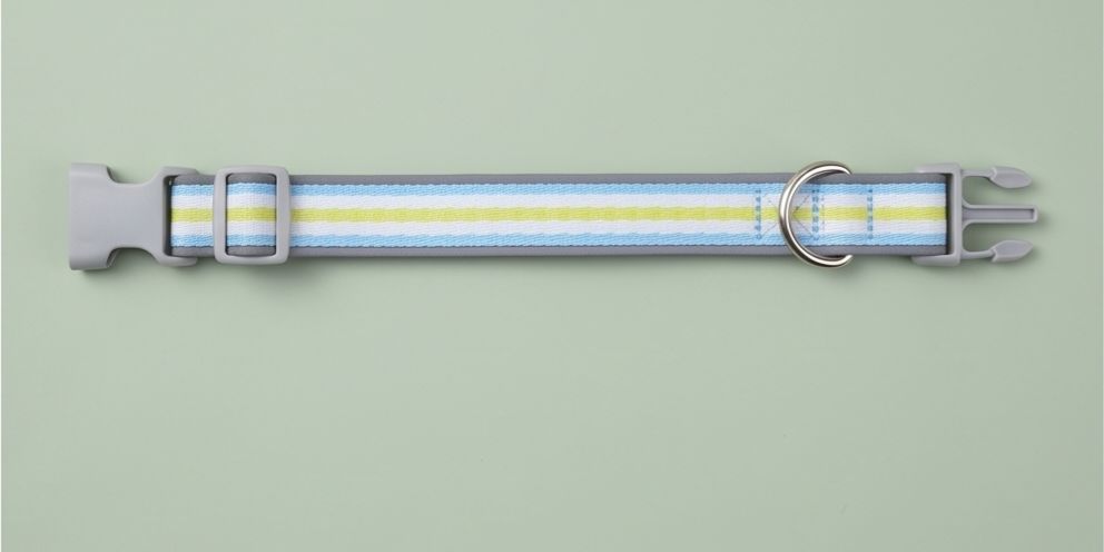 Colour Block Cotton Dog Collar and Lead