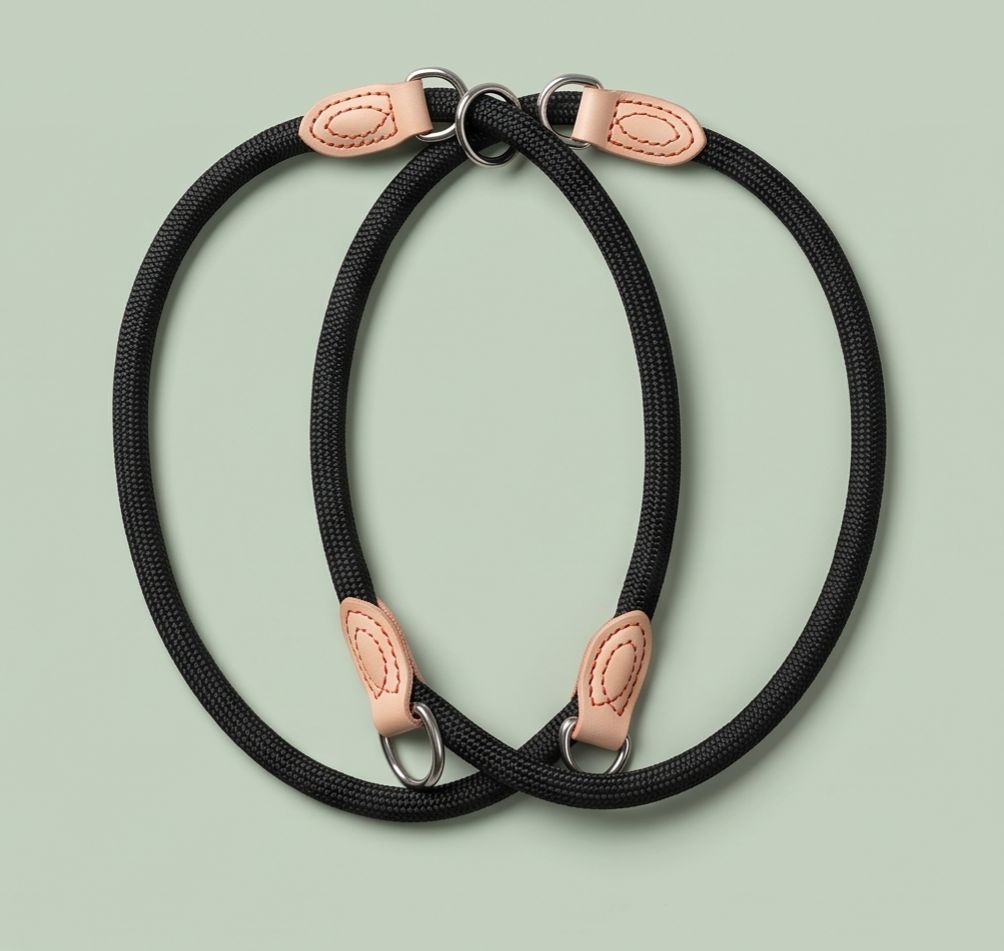Braided Rope Slip Lead for Dogs