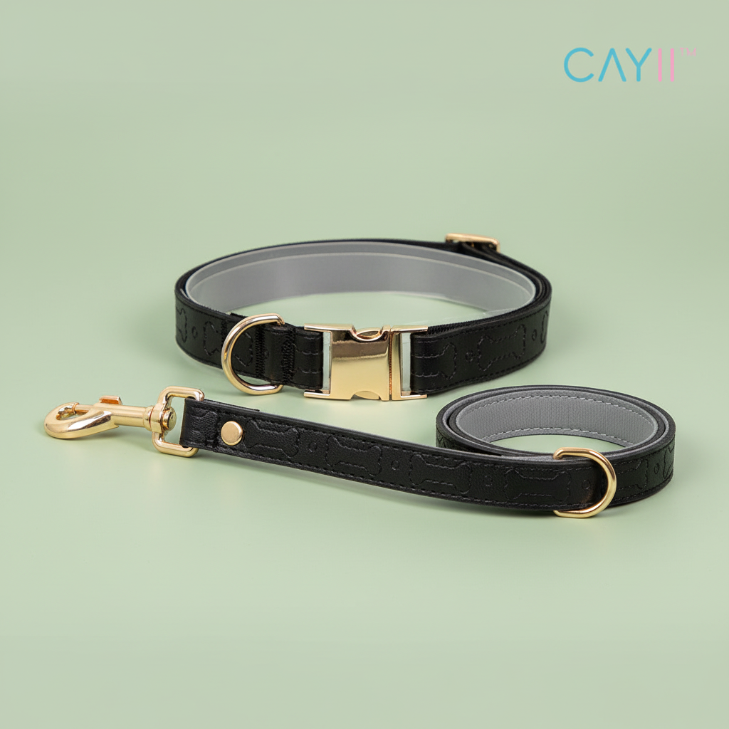 Faux Leather Dog Collar and Lead – Hero